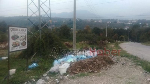 Kuzuluk'ta çevreyi böyle öldürüyorlar