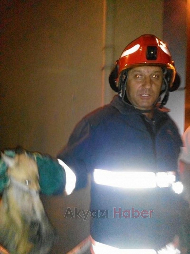 Mahsur Kalan Tilkiyi İtfaiye Kurtardı