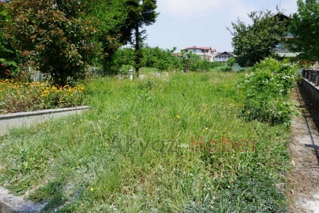 Mezarlıkların Bakımsız Hali Tepki Topluyor