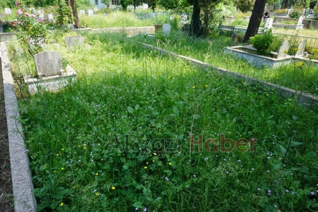 Mezarlıkların Bakımsız Hali Tepki Topluyor