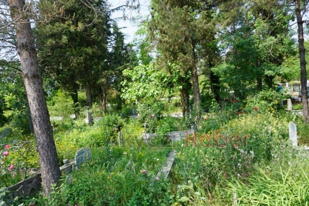 Mezarlıkların Bakımsız Hali Tepki Topluyor