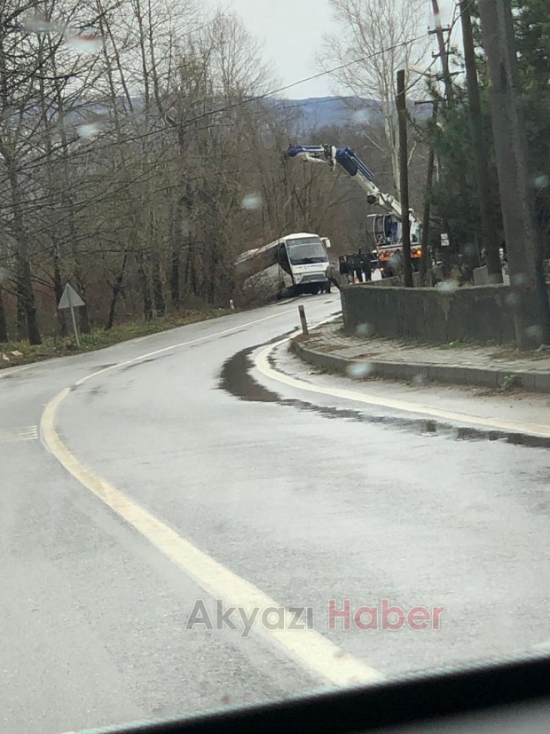 Midibüs Kayıp Ağaça Çarptı