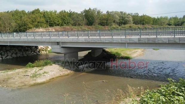 Mudurnu Deresi’nde Balık Ölümleri Yaşanıyor
