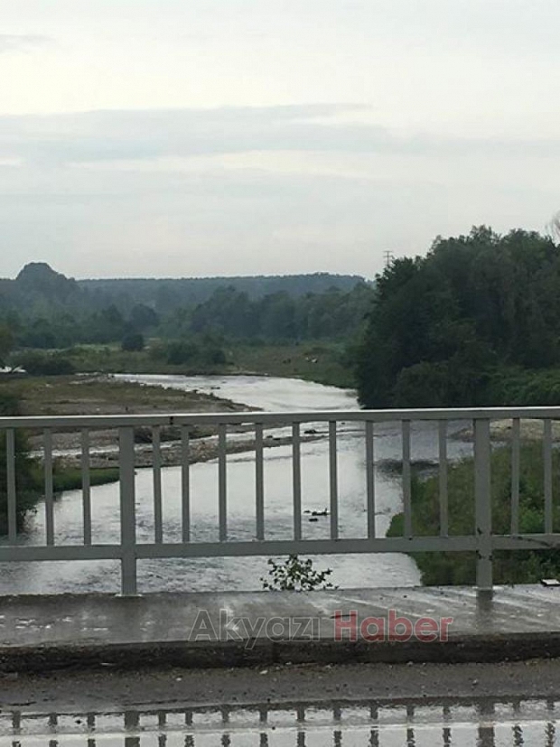 Mudurnu Deresinin rengi siyaha döndü