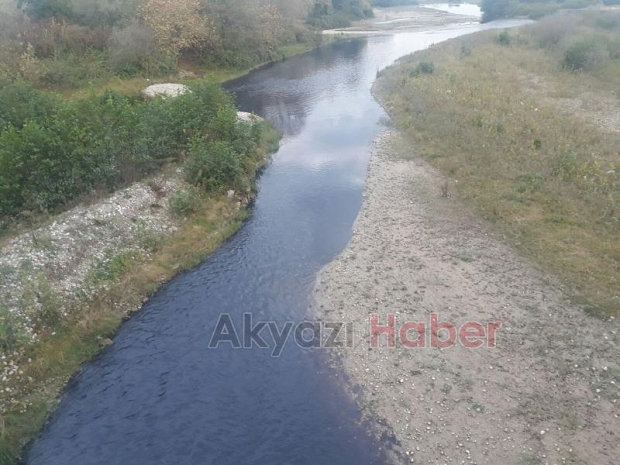 Mudurnuda çevre katliamı sürüyor