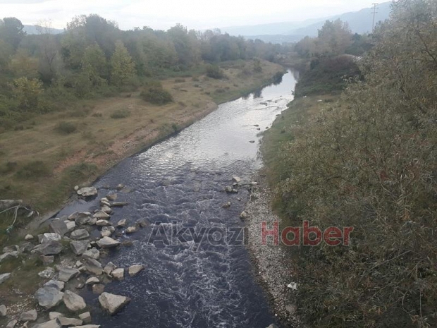 Mudurnuda çevre katliamı sürüyor