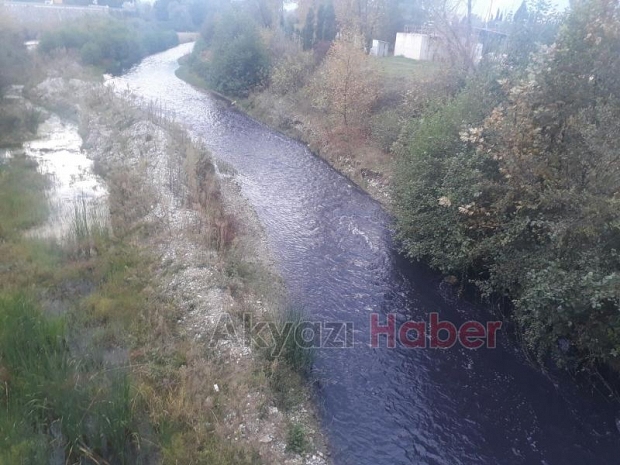 Mudurnuda çevre katliamı sürüyor