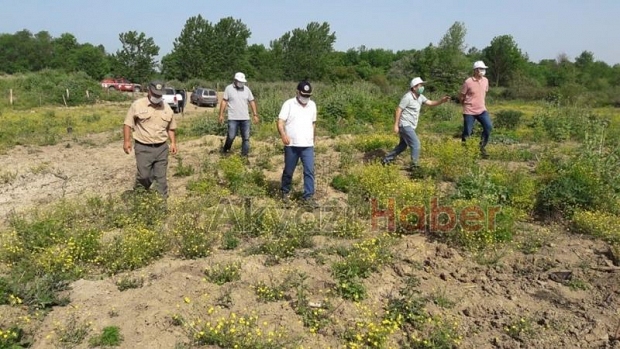 Orman Bölge Müdürü, Akyazı'da incelemelerde bulundu