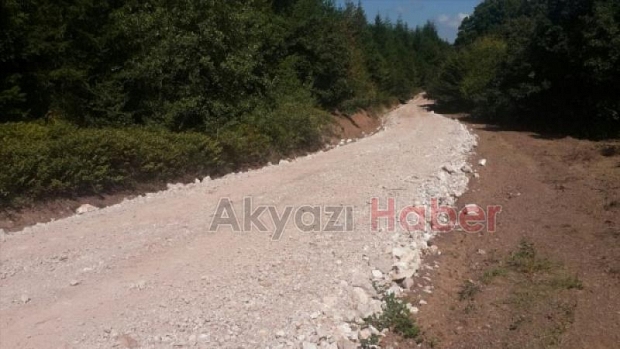 Orman Yolları Yapılıyor