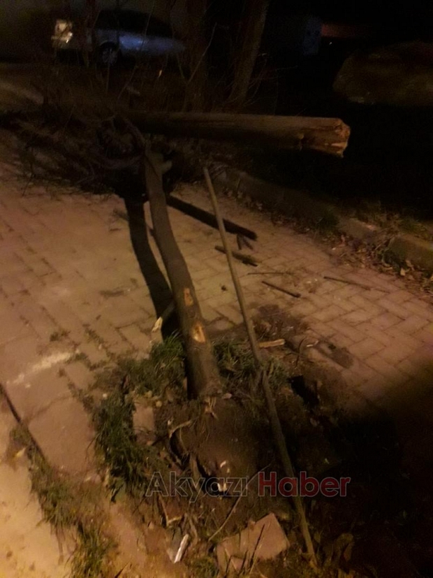 Otomobil Kaza Sonrası Perte Çıktı