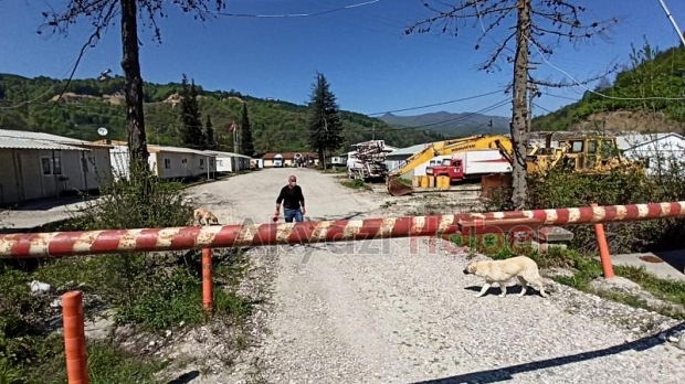 Özel İzin Aldı Sokak Hayvanlarını Besledi 