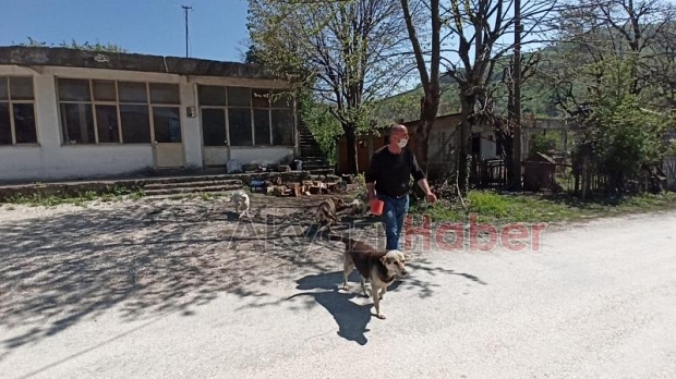 Özel İzin Aldı Sokak Hayvanlarını Besledi 
