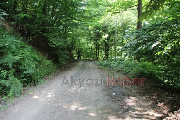 Pick Up Şarampole Uçtu 1 Yaralı