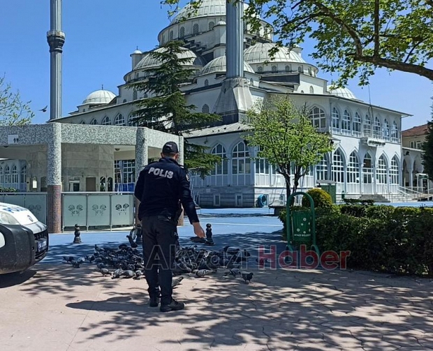Polis memurları ve basın mensupları kuşları besledi