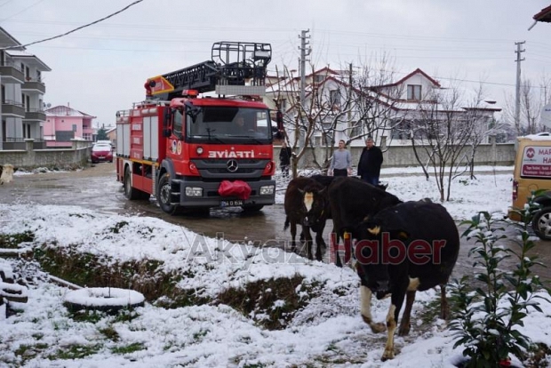 Samanlık Yangını Korkuttu