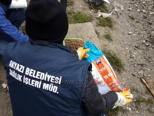 SOĞUK HAVALARDA SOKAK HAYVANLARI AÇ KALMAYACAK