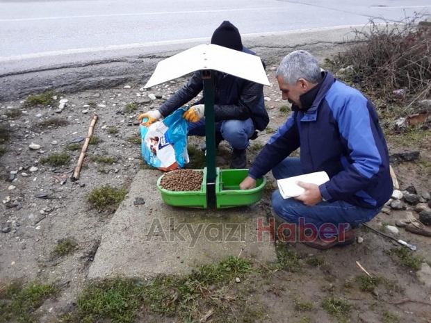 SOĞUK HAVALARDA SOKAK HAYVANLARI AÇ KALMAYACAK