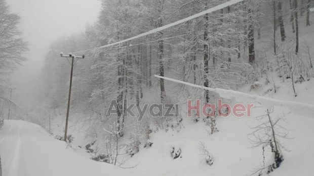 Sultanpınar yaylasında Elektrik Telleri tehlike saçıyor