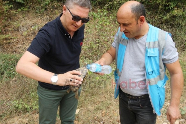 Susuz kalan kaplumbağayla sularını paylaştılar