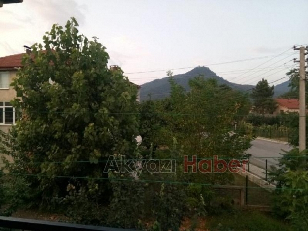 Tehlike oluşturan ağaca SEDAŞdan müdahale