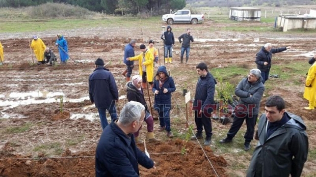 Toprağın altından su, üstünden bal akacak
