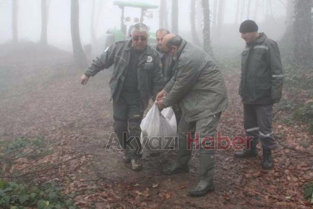 Yabani Hayvanlara Yem Takviyesi