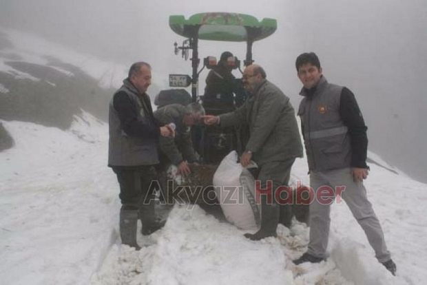 Yabani Hayvanlara Yem Takviyesi