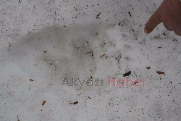 Yabani Hayvanlara Yem Takviyesi