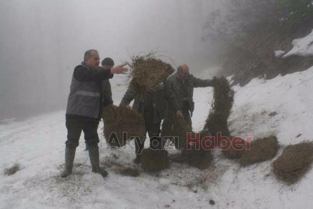 Yabani Hayvanlara Yem Takviyesi