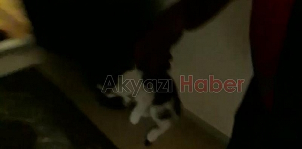 Yavru Kedi İtfaiye Ekiplerince Kurtarıldı