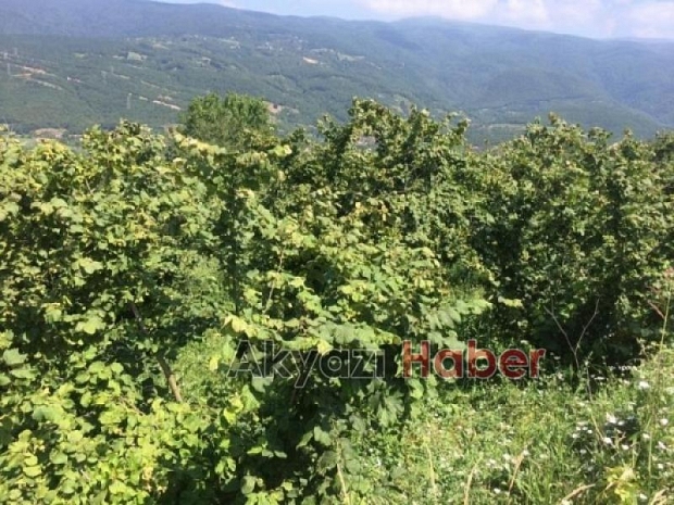 Yılmaz Tarım Ürünleri İnşaat ve Gübre Ticareti
