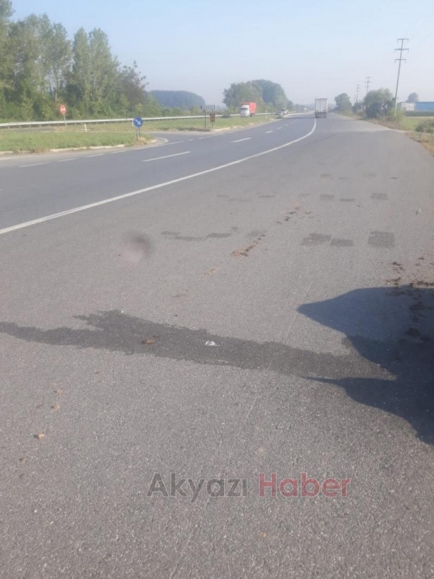 Yol Kenarında Araçtan düşen Hayvan Telef oldu 