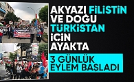 Akyazı'da üniversiteliler Filistin ve Doğu Türkistan için yürüdü