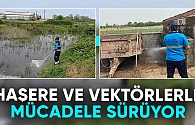 Sakarya'da haşere ve vektörlerle mücadele